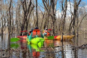 море геродота 8 км